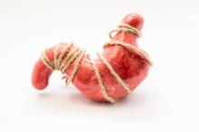 Anatomical model of human stomach, tied with rope lying on white background. Idea for stomach cramps, strong sensations or feelings of hunger, famine, gastric pain, ache or malaise, twisted stomach