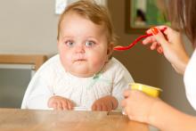 Young child being fed at the table 