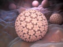 Human Papilloma Virus - HPV
